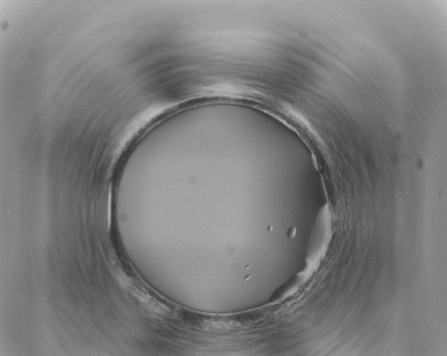 X0000088381323200706121135