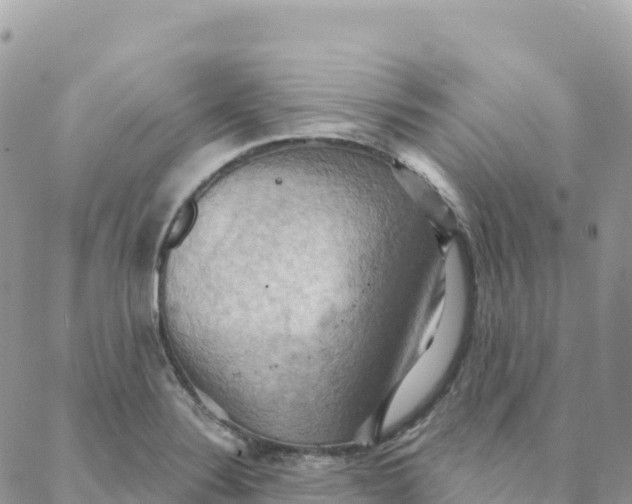 X0000088381324200706121135