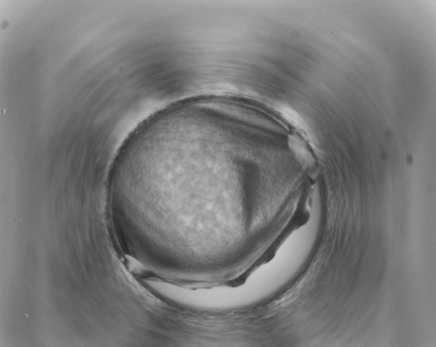 X0000088381326200706121135