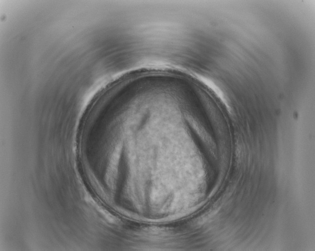 X0000088381327200706121135