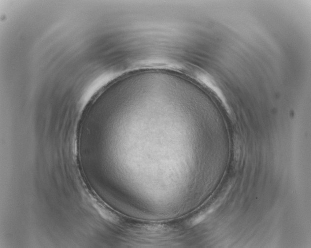 X0000088381328200706121135