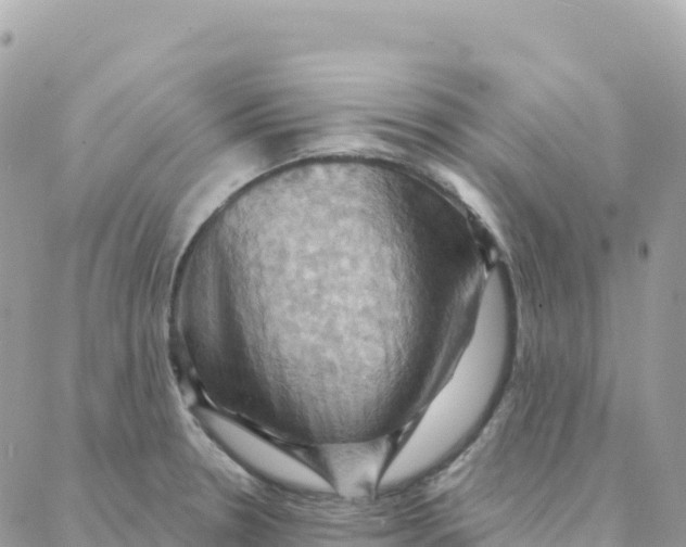 X0000088381330200706121135