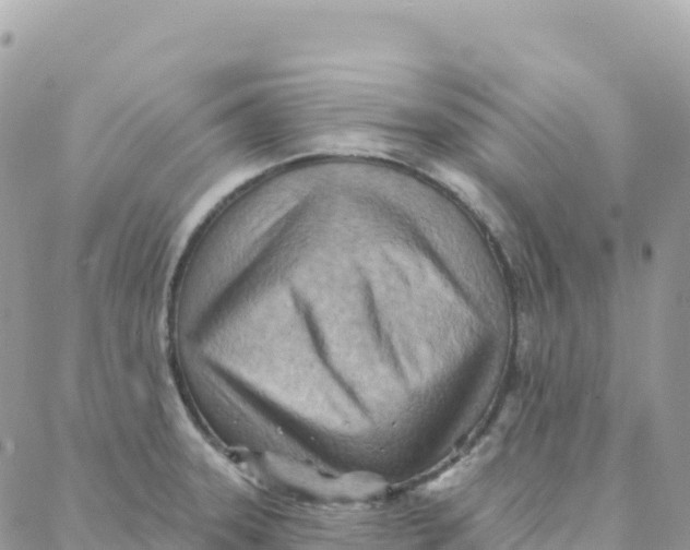 X0000088381331200706121135