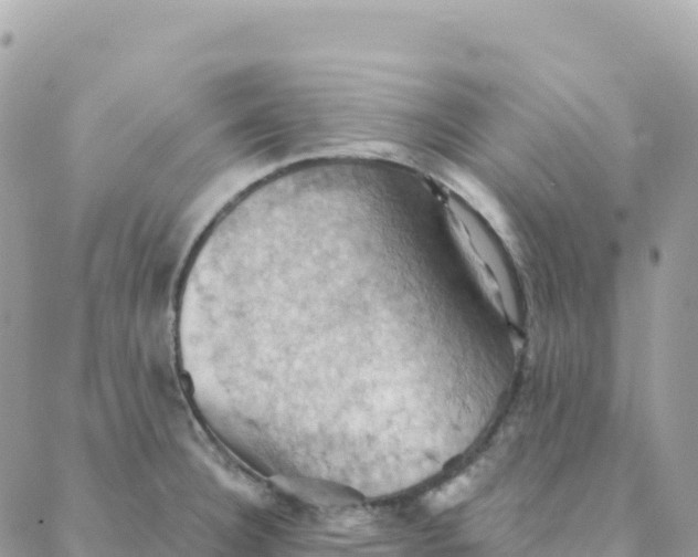 X0000088381332200706121135