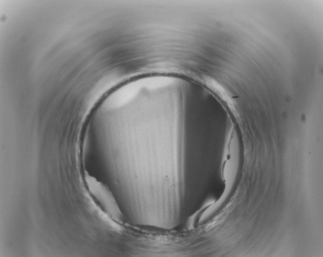 X0000088381334200706121135