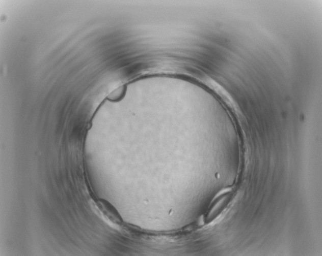 X0000088381337200706121135