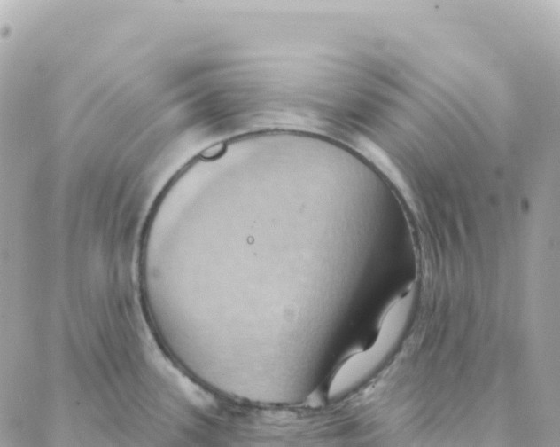 X0000088381339200706121135