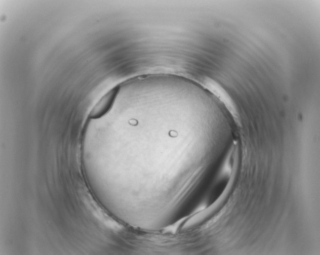 X0000088381340200706121135