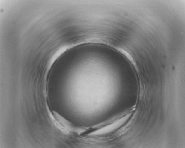 X0000088381342200706121135