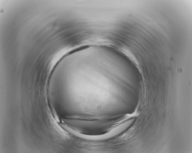 X0000088381344200706121135