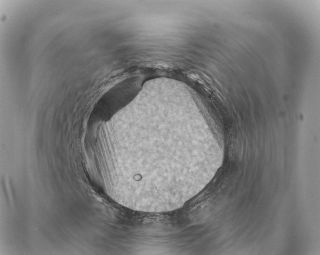 X0000088381345200706121135