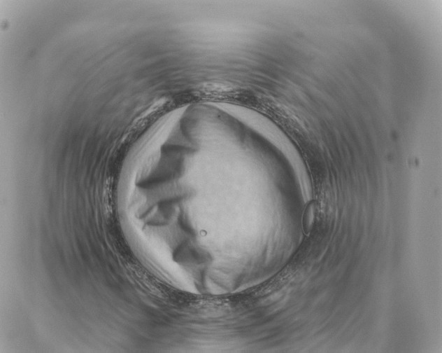 X0000088381346200706121135