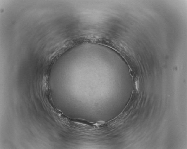 X0000088381347200706121135