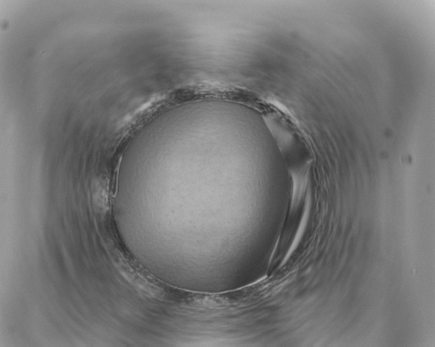 X0000088381348200706121135