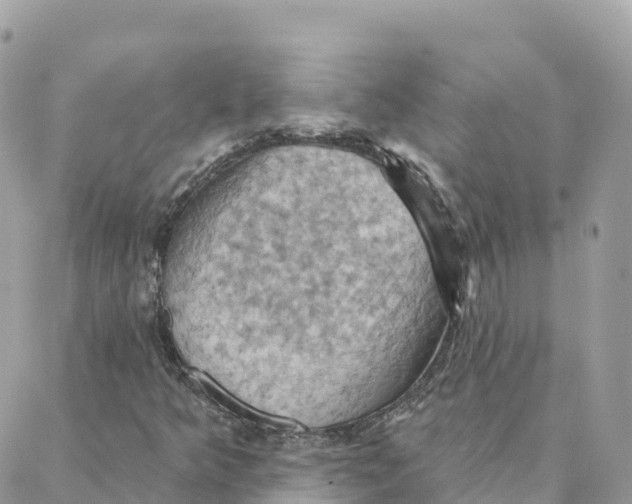 X0000088381349200706121135