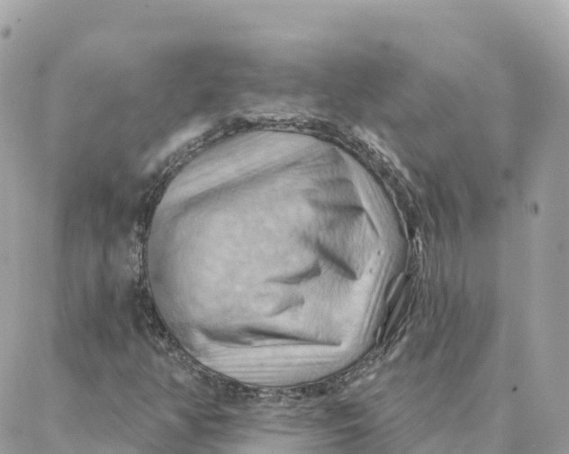 X0000088381350200706121135