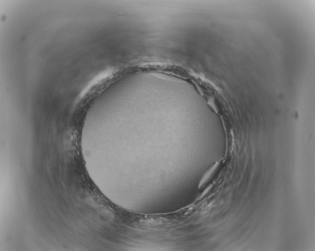 X0000088381351200706121135