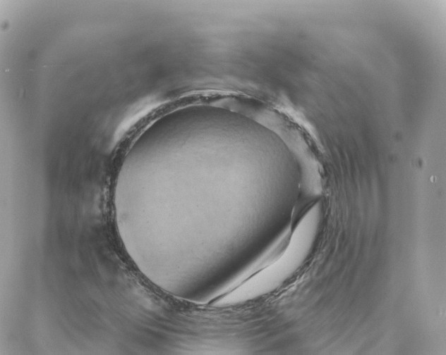 X0000088381352200706121135