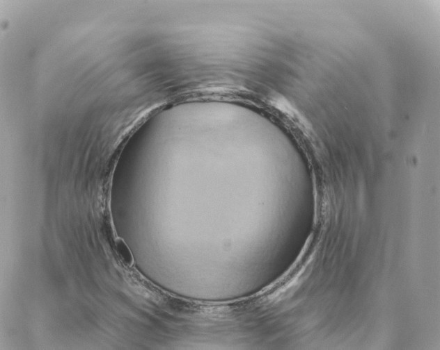 X0000088381353200706121135