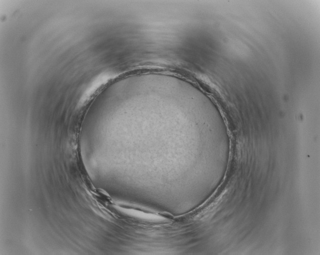 X0000088381355200706121135