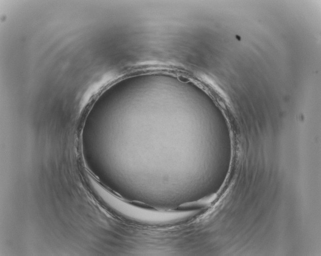 X0000088381357200706121134