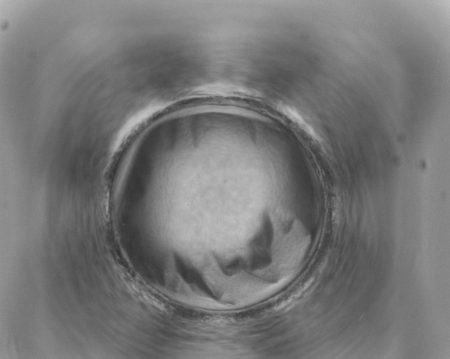 X0000088381358200706121134