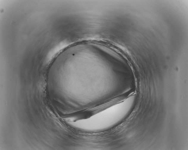 X0000088381359200706121134