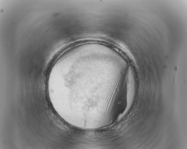 X0000088381360200706121134