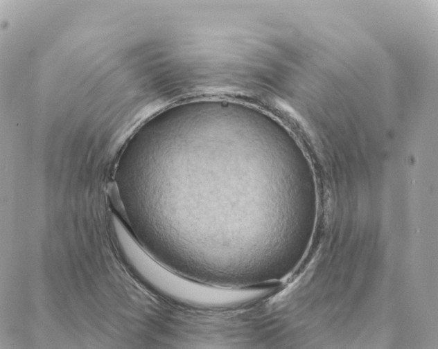 X0000088381361200706121134