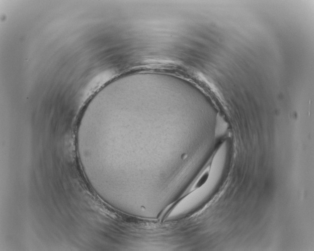 X0000088381362200706121134