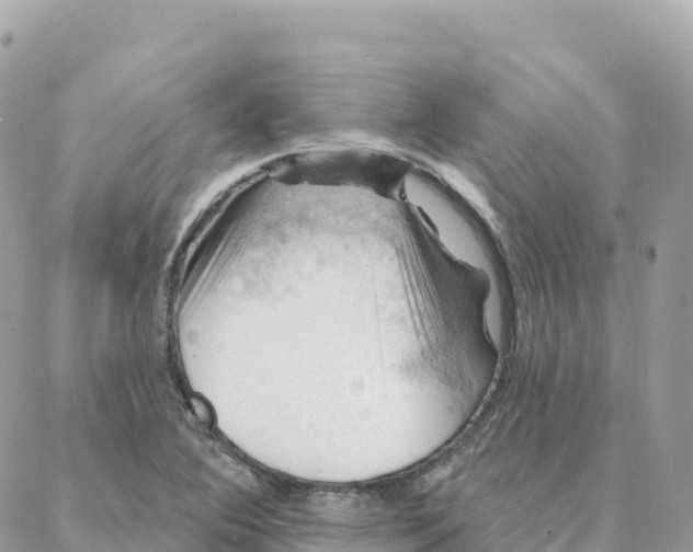 X0000088381364200706121134