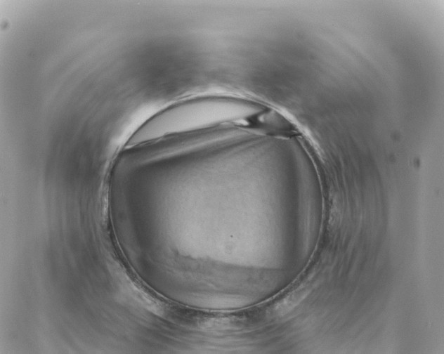 X0000088381367200706121134