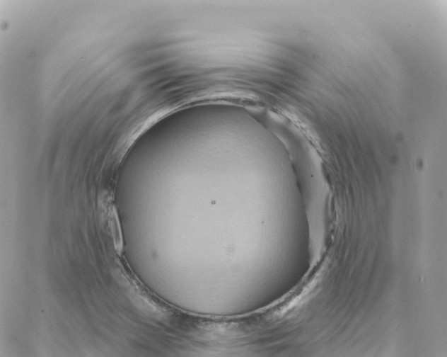 X0000088381369200706121134