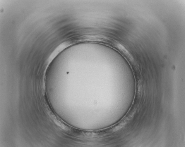 X0000088381370200706121134