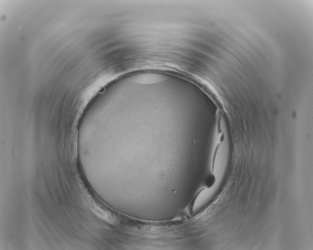 X0000088381371200706121134