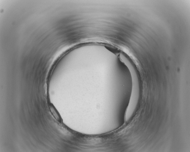 X0000088381372200706121134