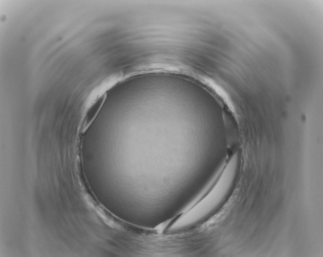 X0000088381373200706121134