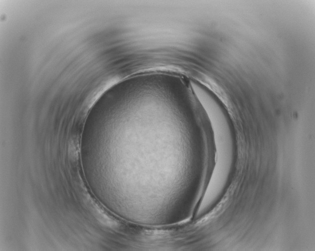 X0000088381377200706121134