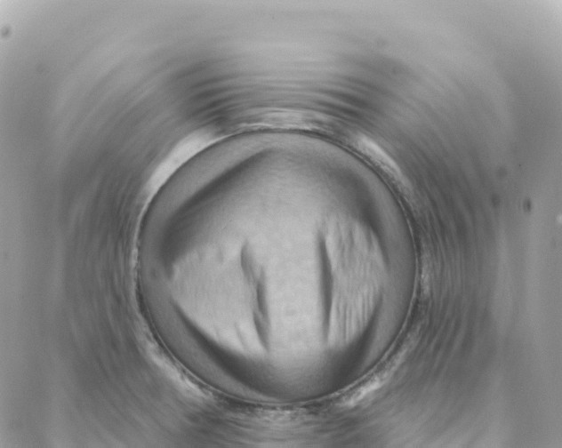 X0000088381378200706121134