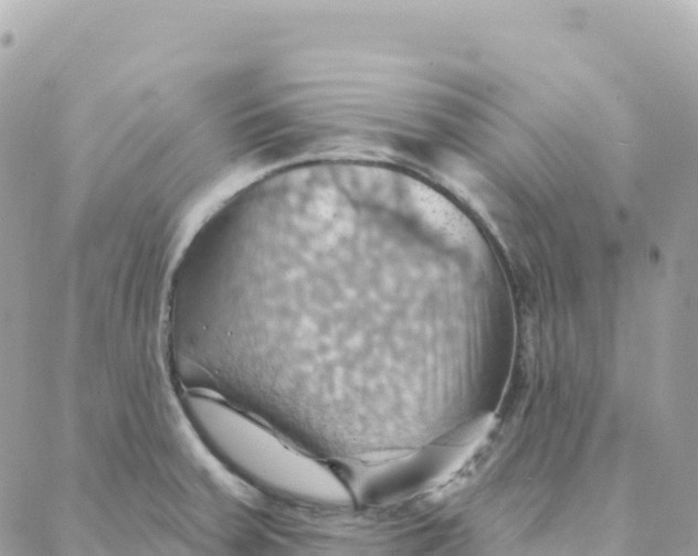 X0000088381379200706121134