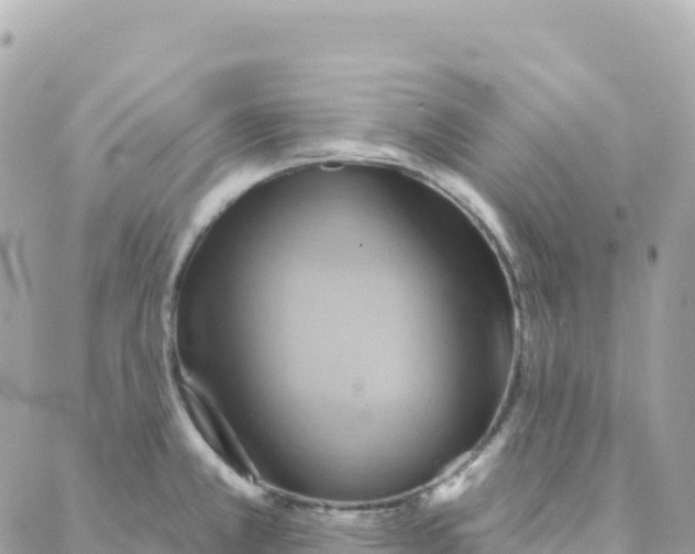 X0000088381381200706121134