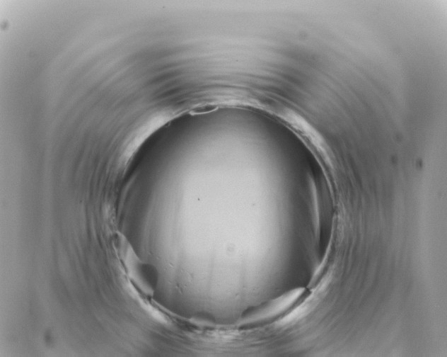 X0000088381385200706121134