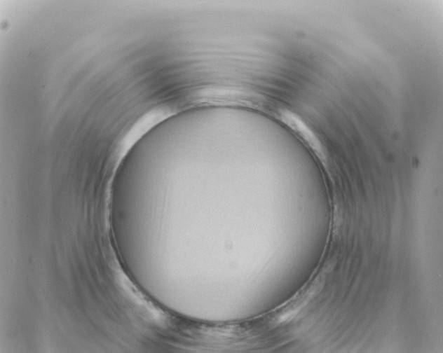 X0000088381386200706121134