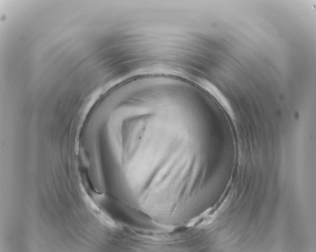 X0000088381388200706121134