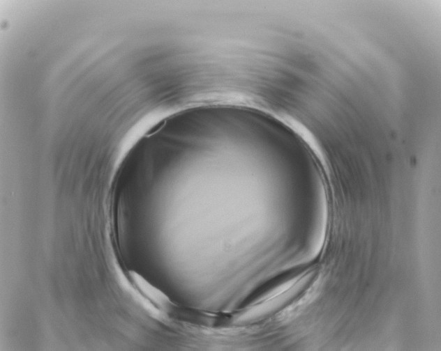 X0000088381389200706121134