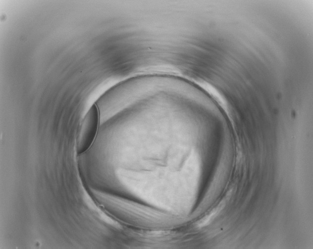 X0000088381390200706121134