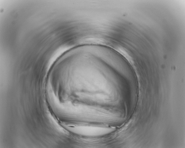 X0000088381392200706121134