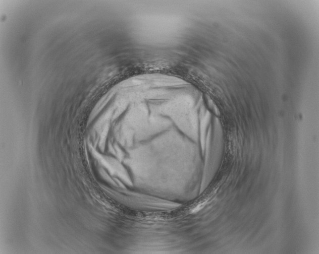 X0000088381393200706121133