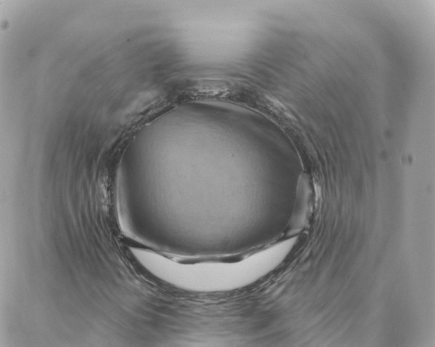 X0000088381394200706121133