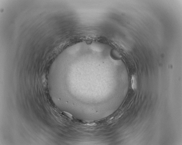 X0000088381395200706121133